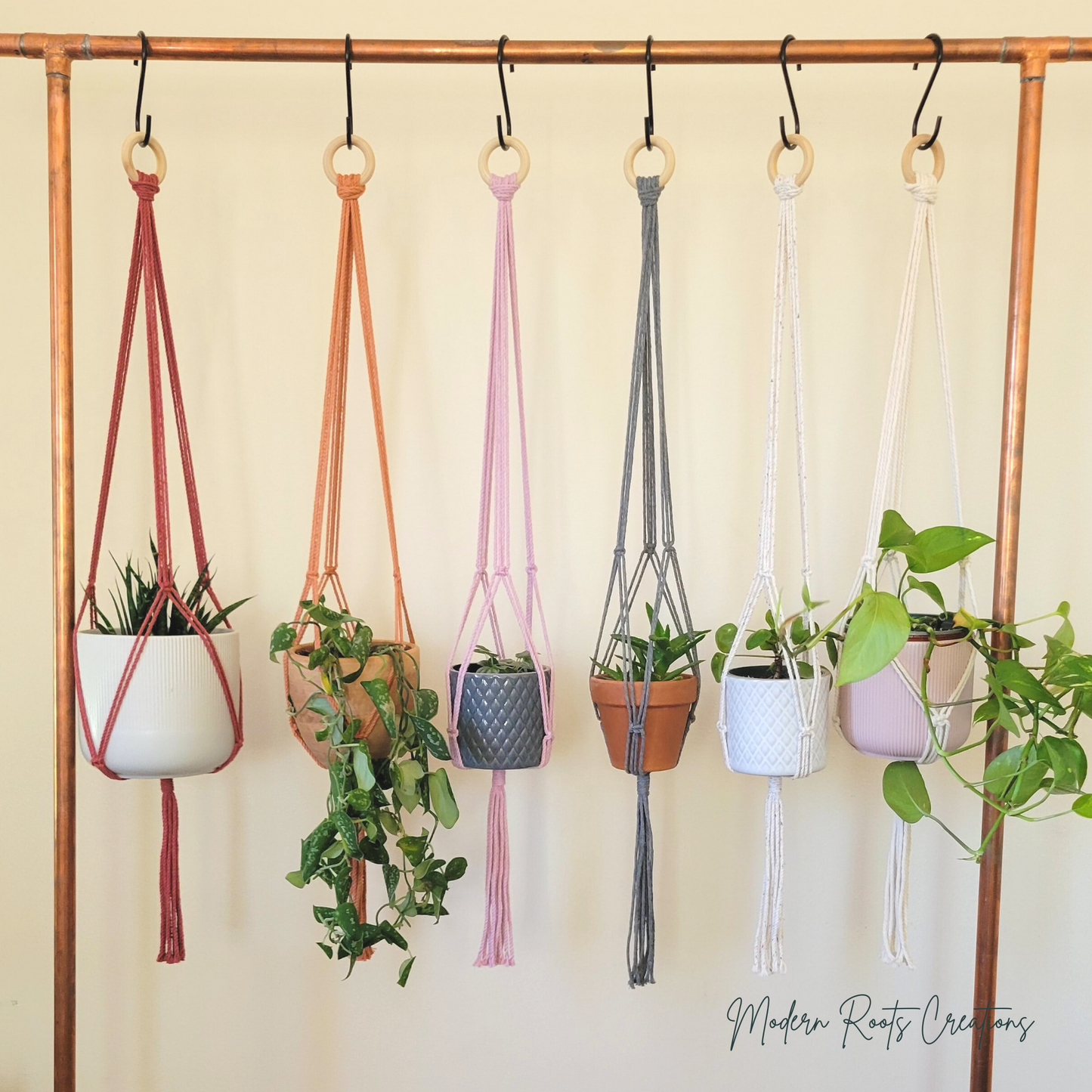 Minimalist Plant Hanger