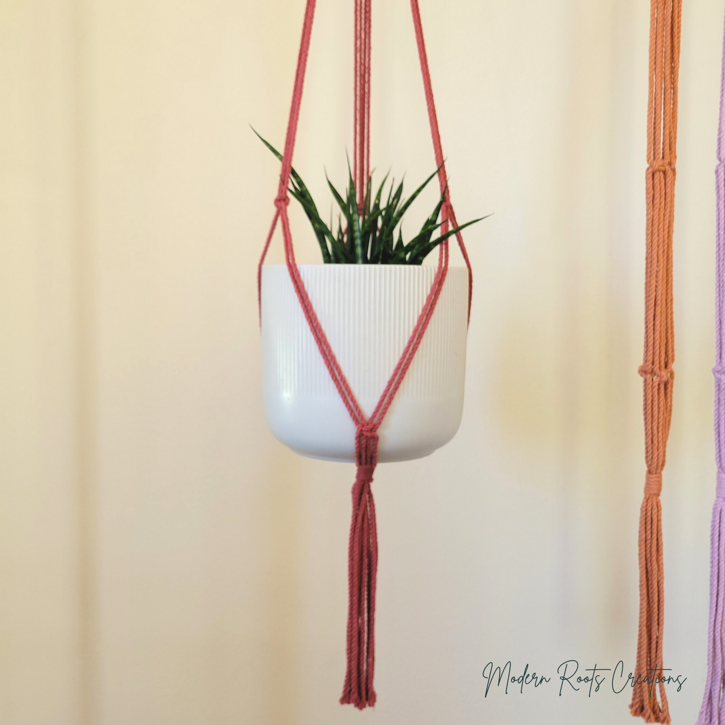 Minimalist Plant Hanger