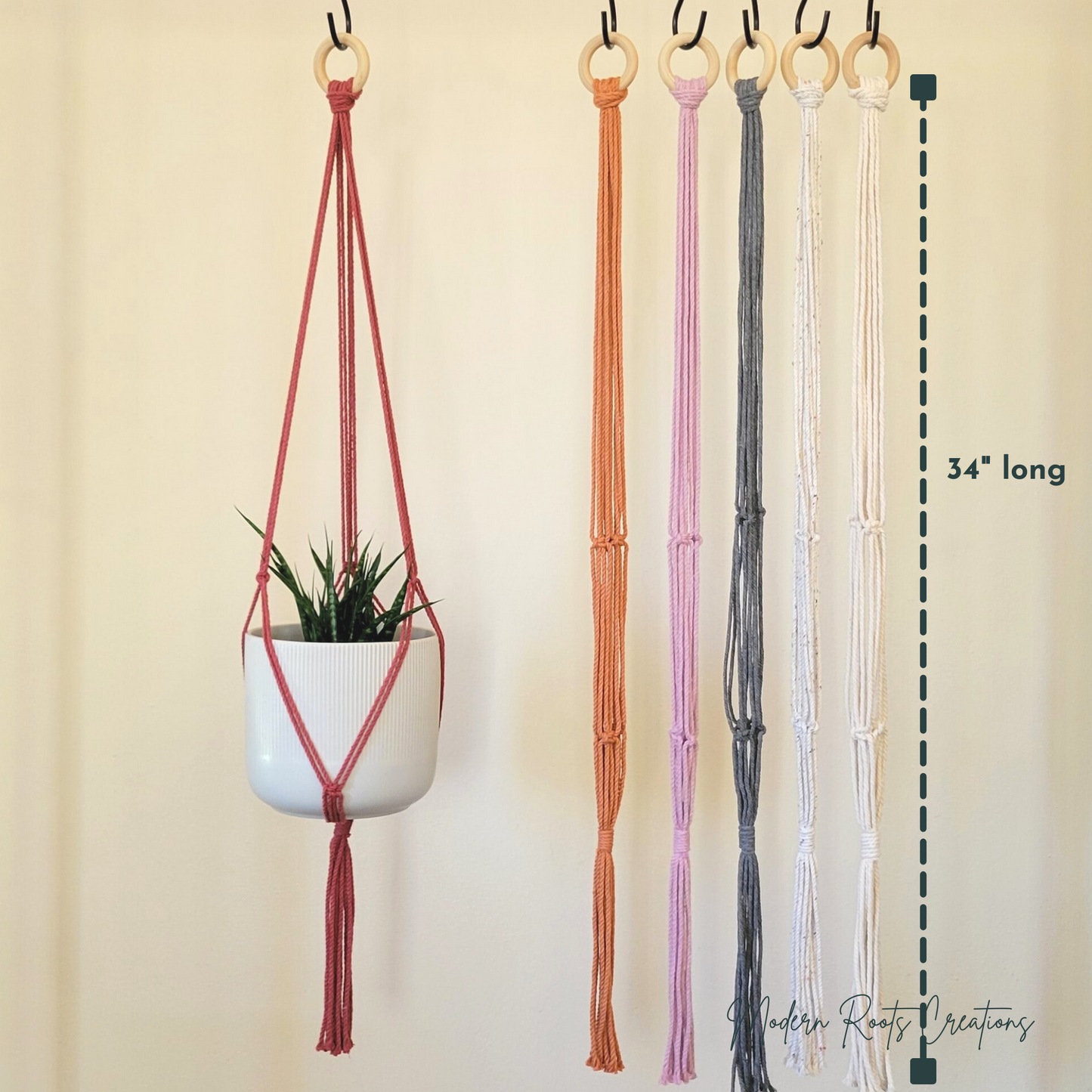 Minimalist Plant Hanger