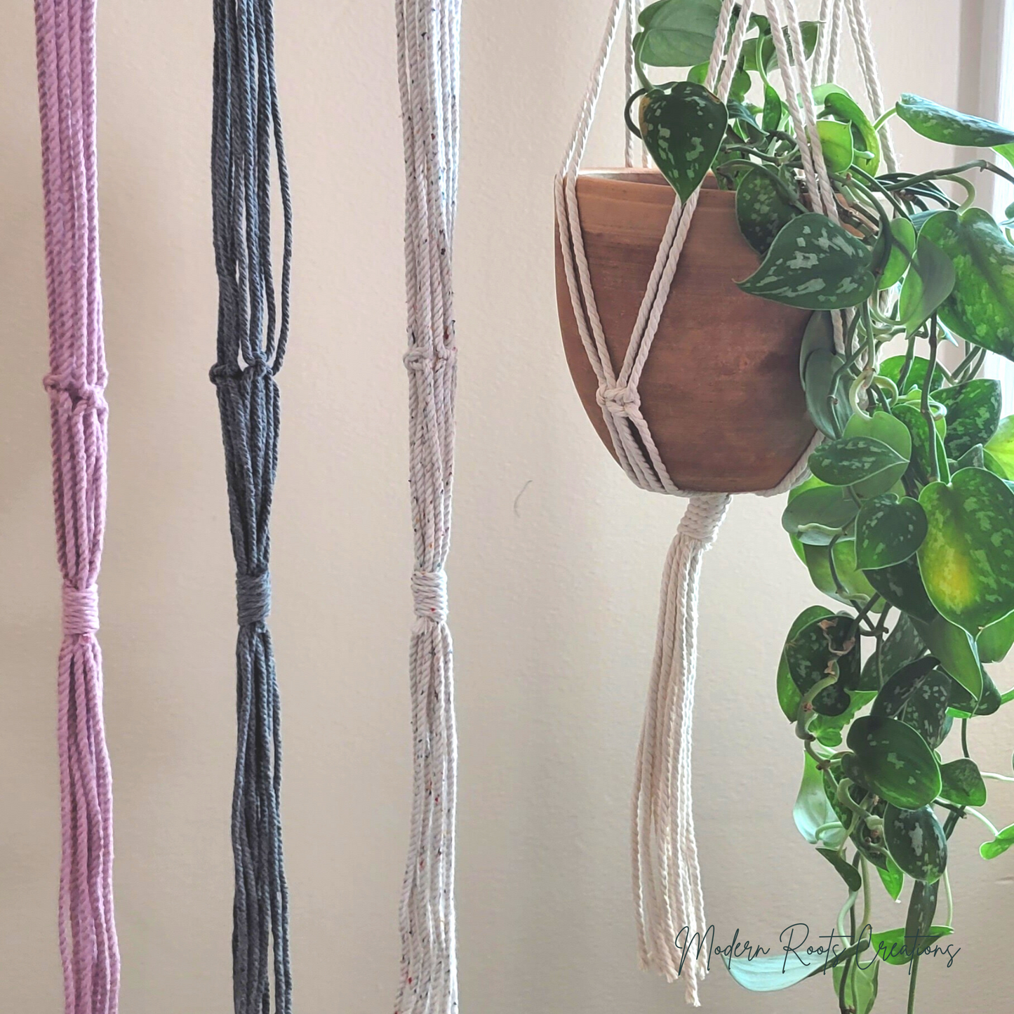 Minimalist Plant Hanger