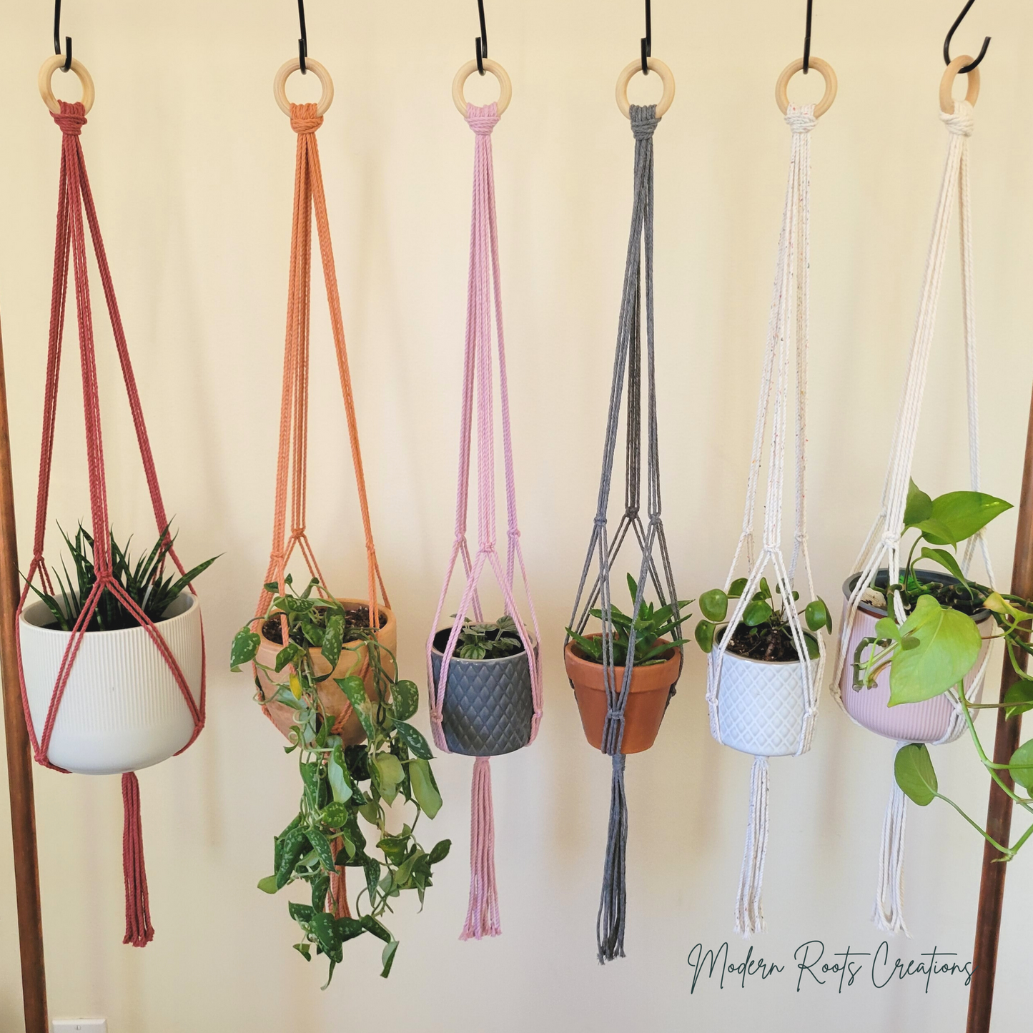 Minimalist Plant Hanger