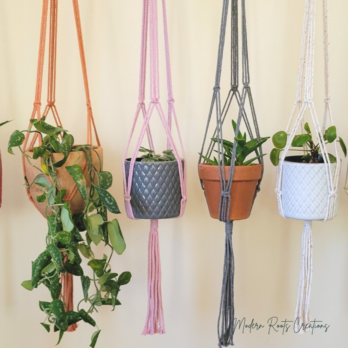 Minimalist Plant Hanger